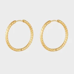 Big Bee Hoops