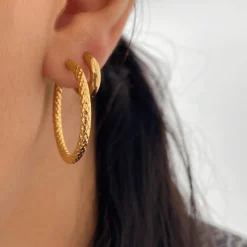 Big Bee Hoops