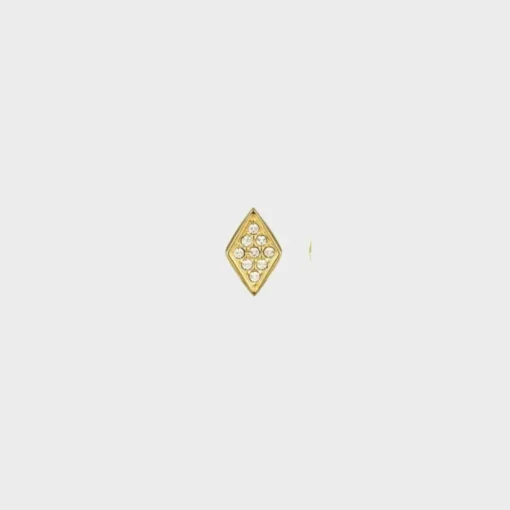 Diamond Ørestikker