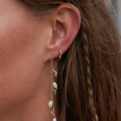 Favia Small Hoops