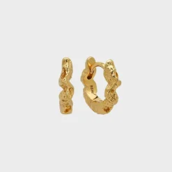 Favia Small Hoops