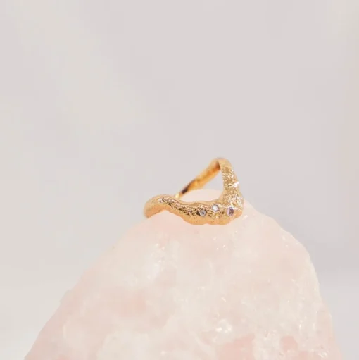 Kani Ring