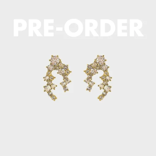 Pierre Stone Øreringe - Pre-Order