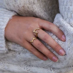 Sarco Ring
