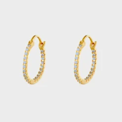 Shiny Hoops