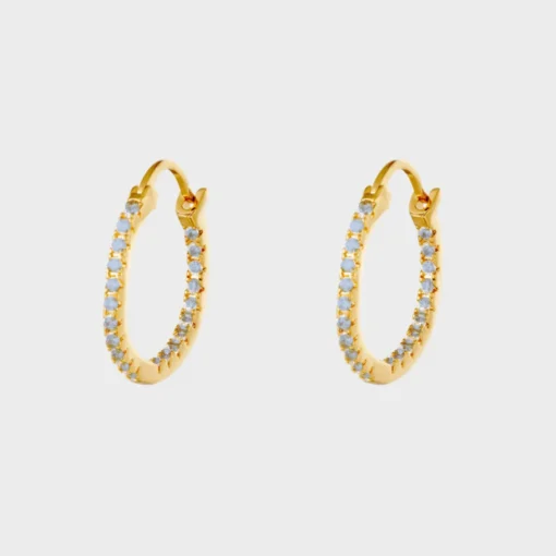 Shiny Hoops