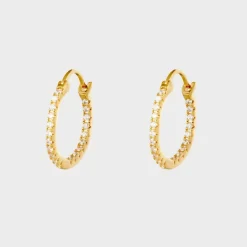 Shiny Hoops