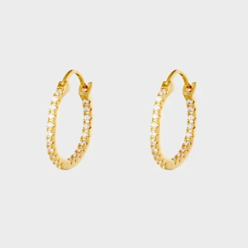 Shiny Hoops