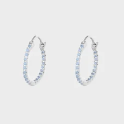 Shiny Hoops