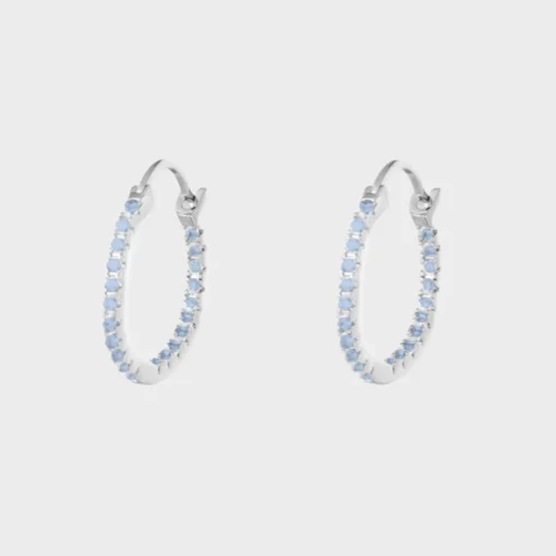 Shiny Hoops