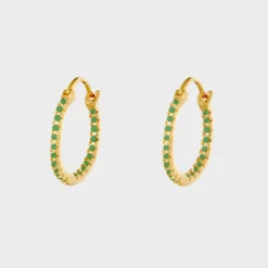 Shiny Hoops