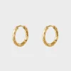 Sigrid Hoops