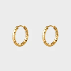 Sigrid Hoops